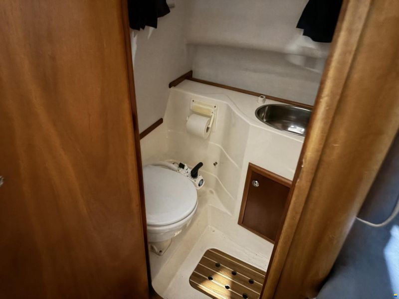 Bella Falcon 26