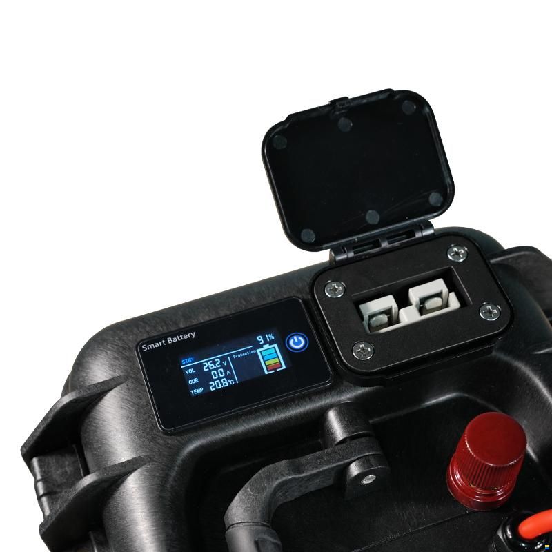 Ultimatron LifePo4 Tragbare Lithiumbatte