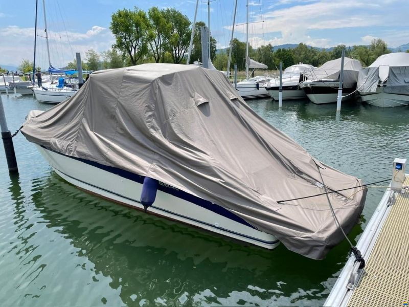 Regal 8,3 Ventura