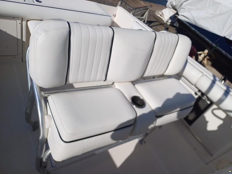 Robalo 260