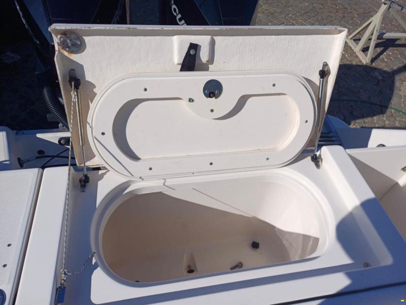 Robalo 260