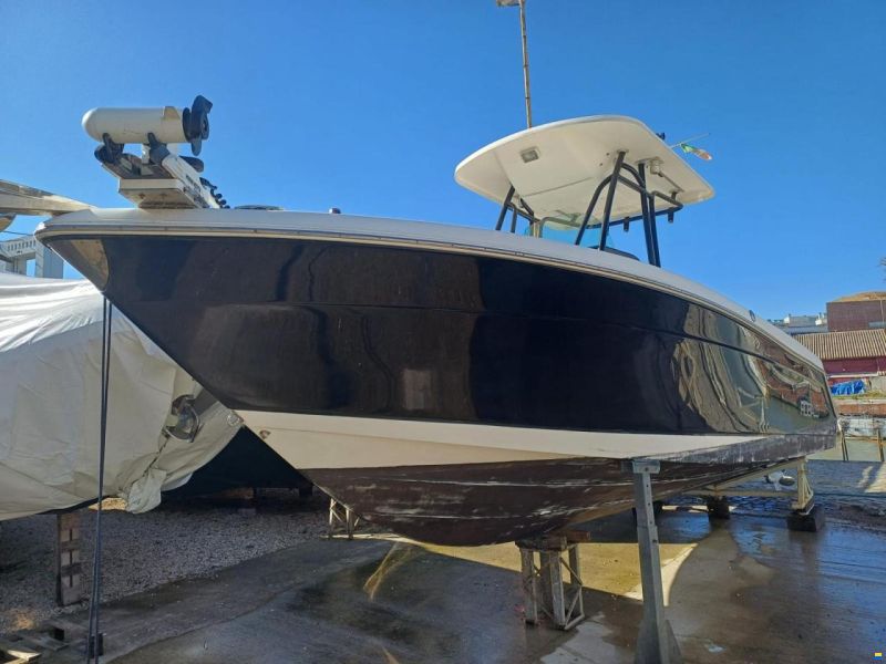 Robalo 260
