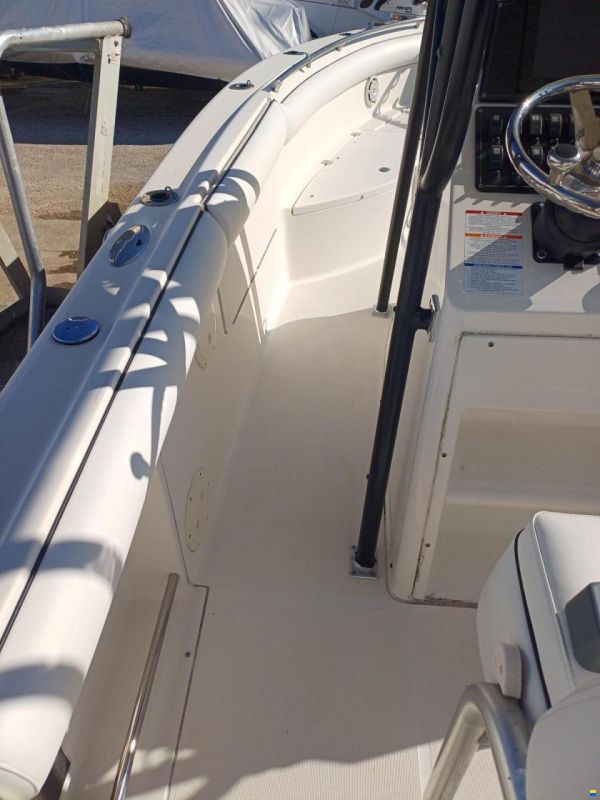 Robalo 260