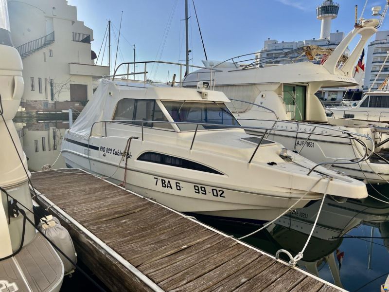 Rio 800 Cabin Fish