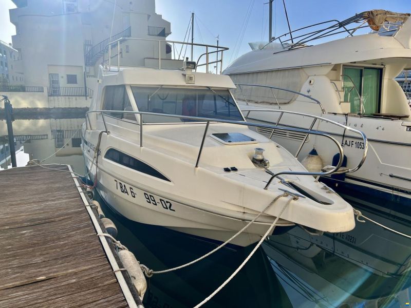 Rio 800 Cabin Fish