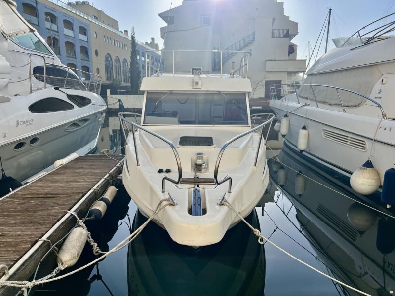 Rio 800 Cabin Fish