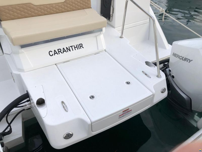 AQUILA 36