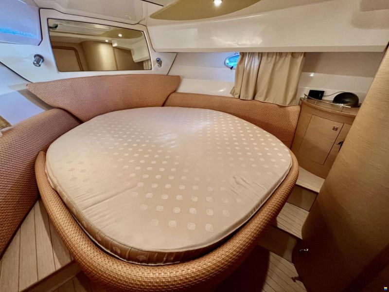Sessa Dorado 36