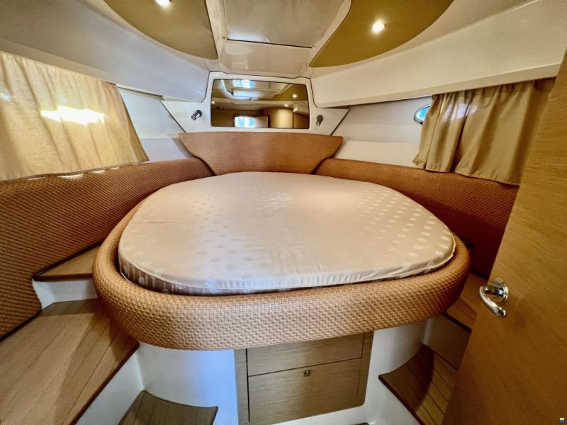 Sessa Dorado 36