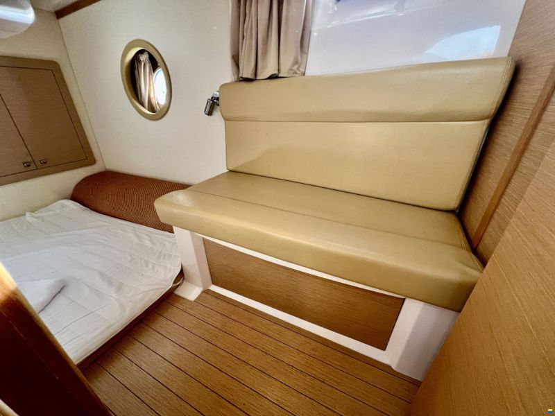 Sessa Dorado 36