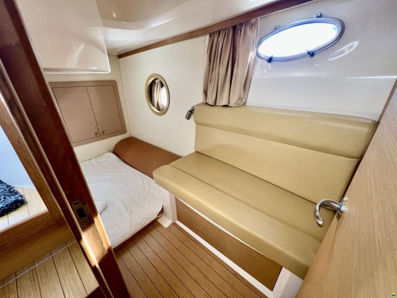 Sessa Dorado 36