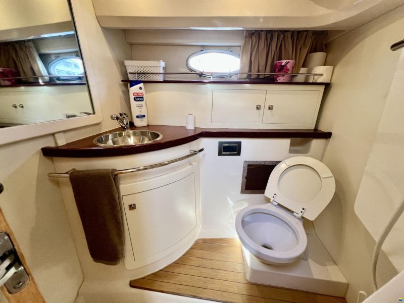 Sessa Dorado 36