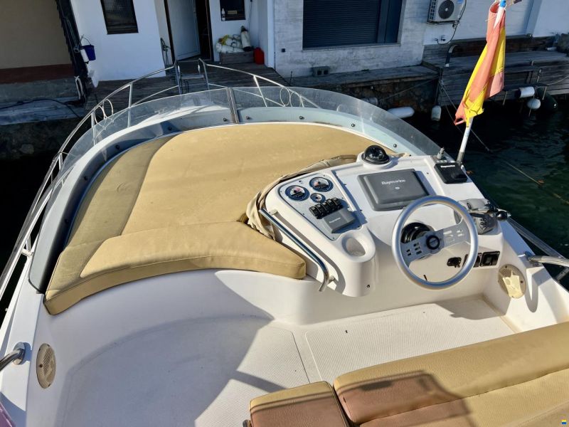 Sessa Dorado 36
