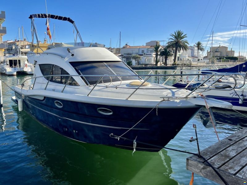 Sessa Dorado 36