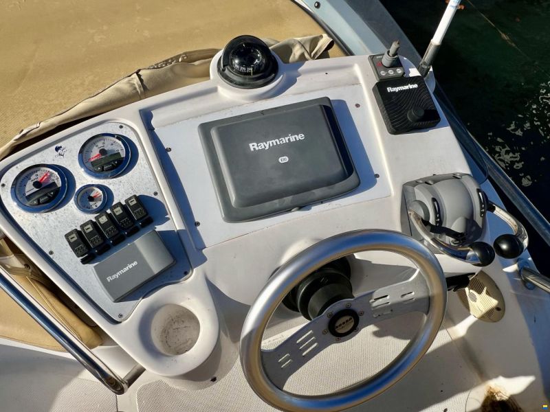 Sessa Dorado 36
