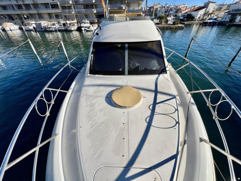Sessa Dorado 36