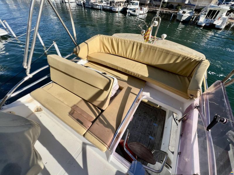 Sessa Dorado 36