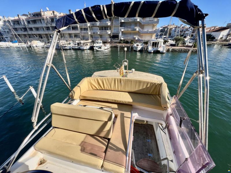 Sessa Dorado 36