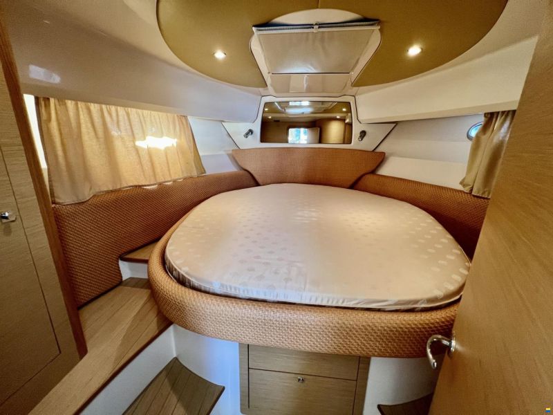 Sessa Dorado 36