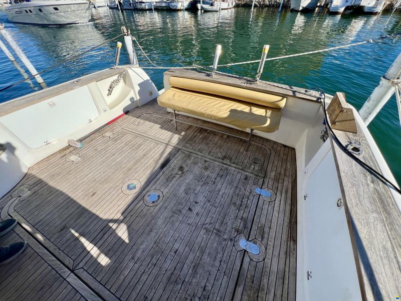 Sessa Dorado 36