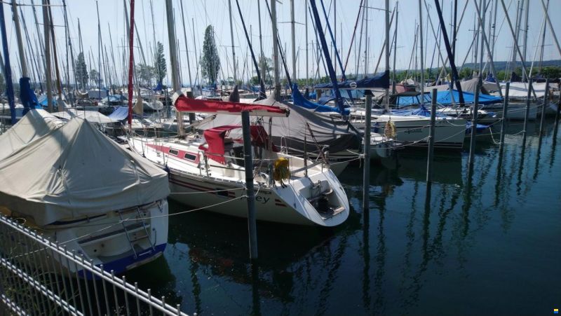 Hanse 331 - schneller Cruiser-Racer