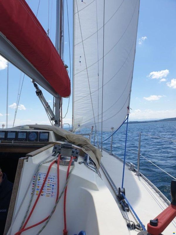 Hanse 331 - schneller Cruiser-Racer