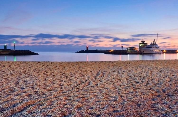 Affitto Posto barca 20 M - Porto Turisti