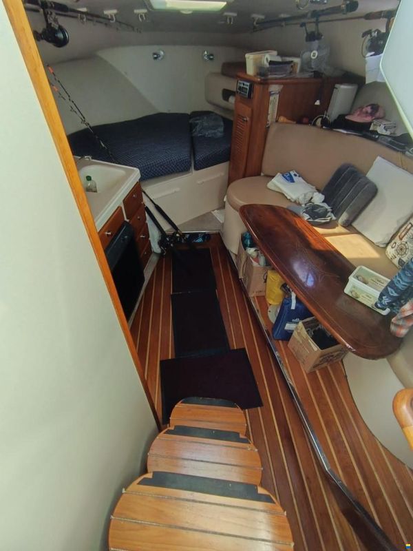 Pursuit 3370