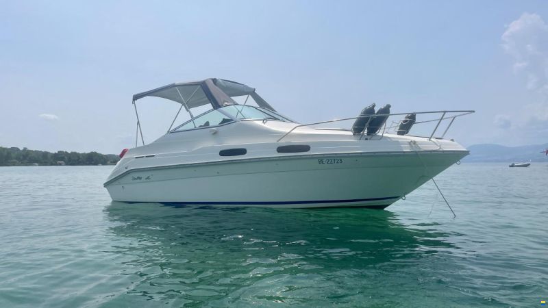 Sea Ray 230 DA