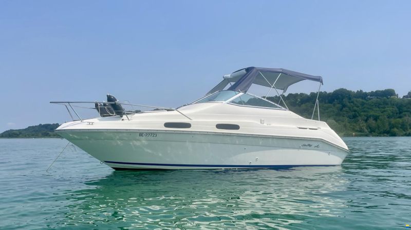 Sea Ray 230 DA