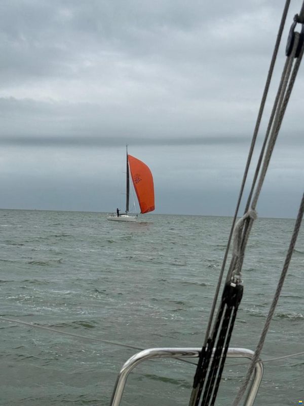 J Boats J105