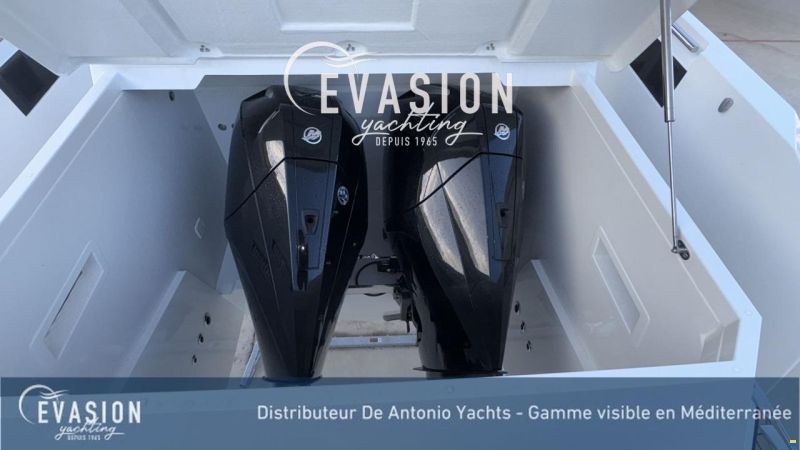 De Antonio D29