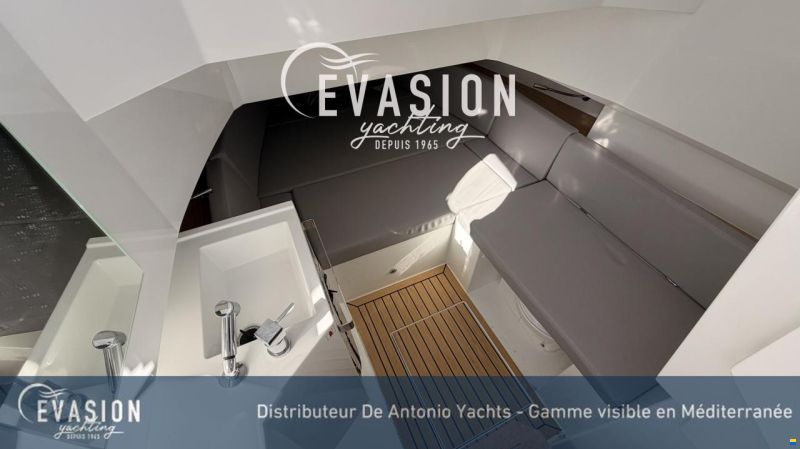 De Antonio D29