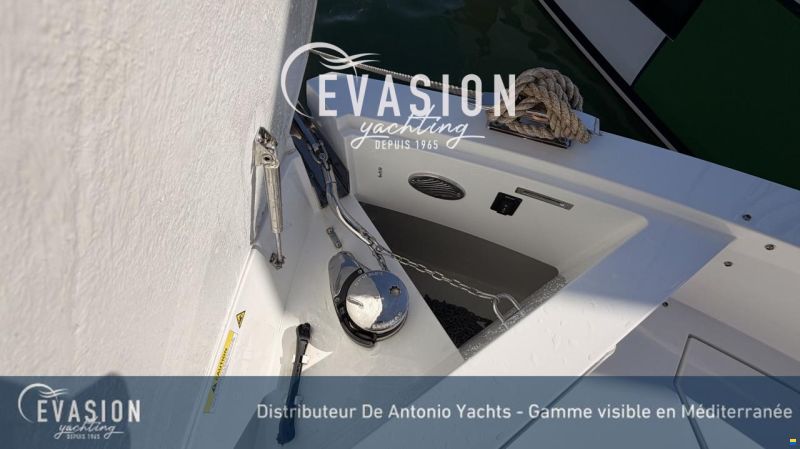 De Antonio D29
