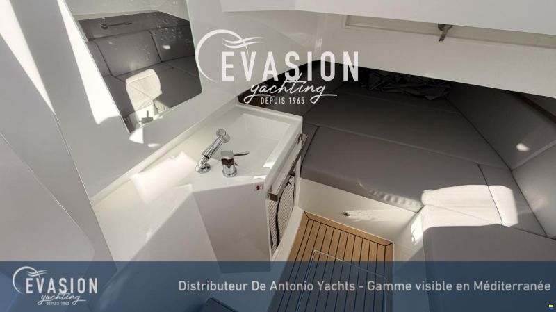 De Antonio D29