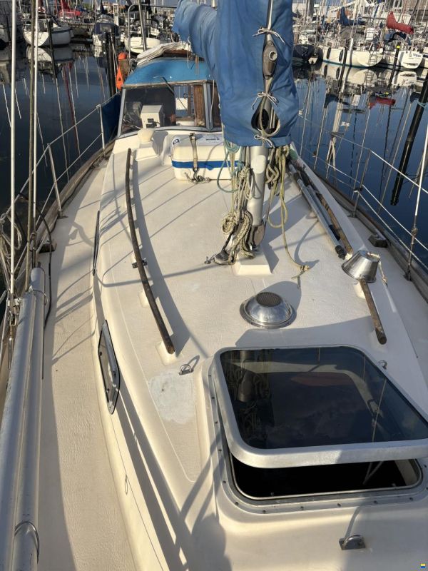Hallberg-Rassy Monsun 31