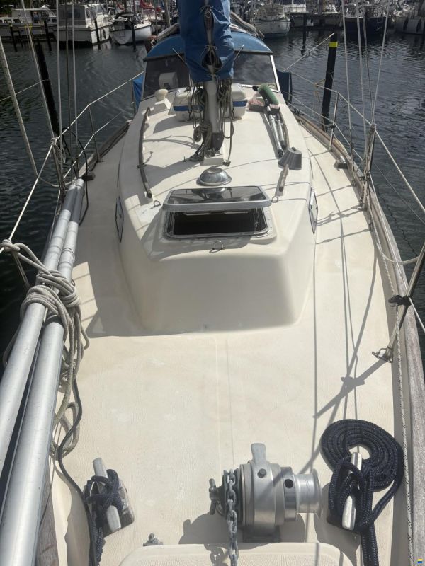 Hallberg-Rassy Monsun 31