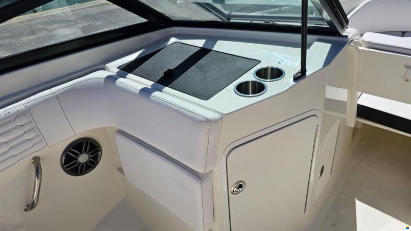 Sea Ray SPX 210 OUTBOARD