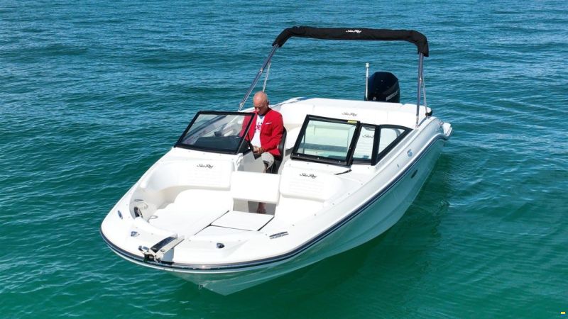 Sea Ray SPX 210 OUTBOARD