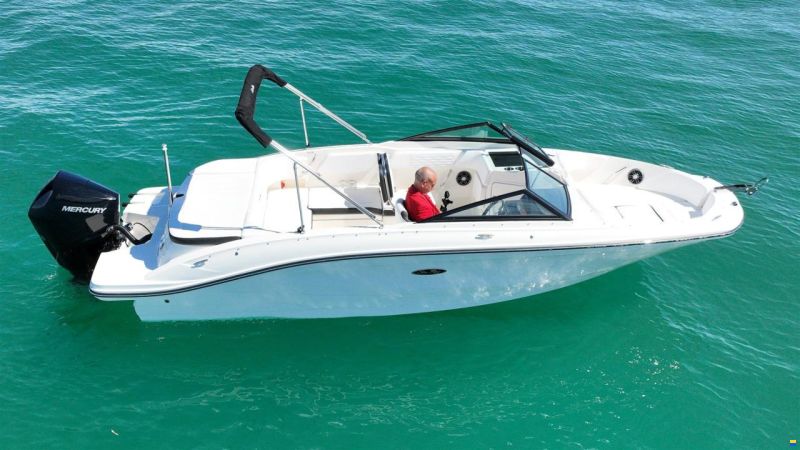 Sea Ray SPX 210 OUTBOARD