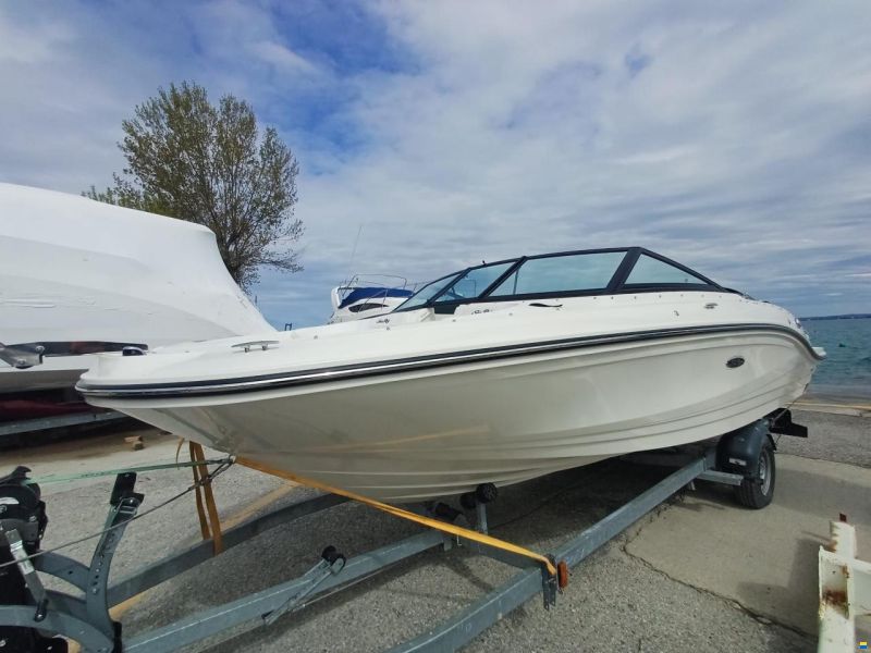 Sea Ray SPX 210 OUTBOARD