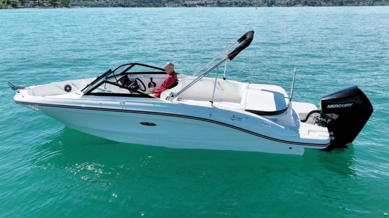 Sea Ray SPX 210 OUTBOARD