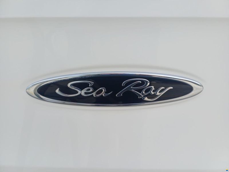 Sea Ray SPX 210 OUTBOARD