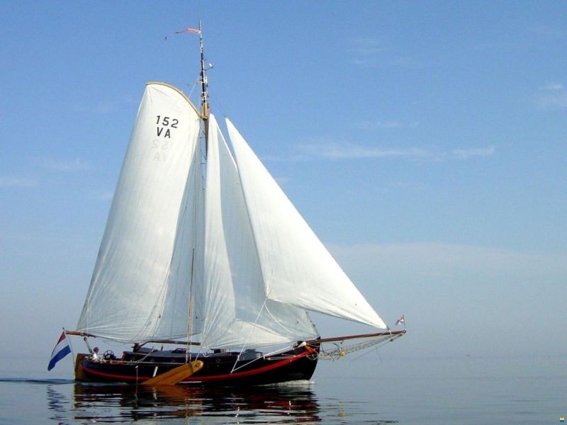 Lemsteraak Corneel - De Boer Roefaak 12.85