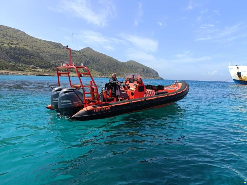 Gemini professional ribs for sale and charter