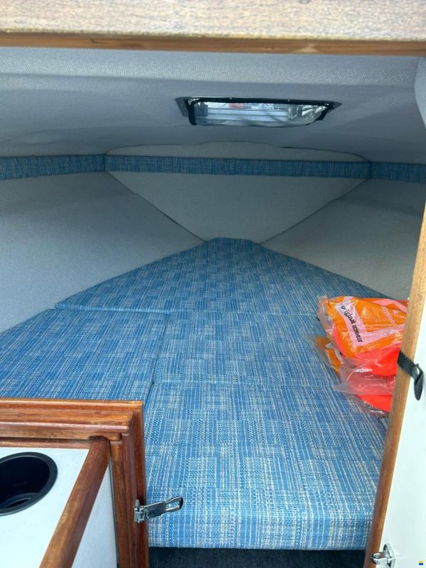 Sea Ray 200 OV