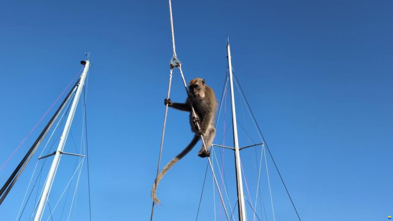 Jeanneau Sun Odyssey 45.2