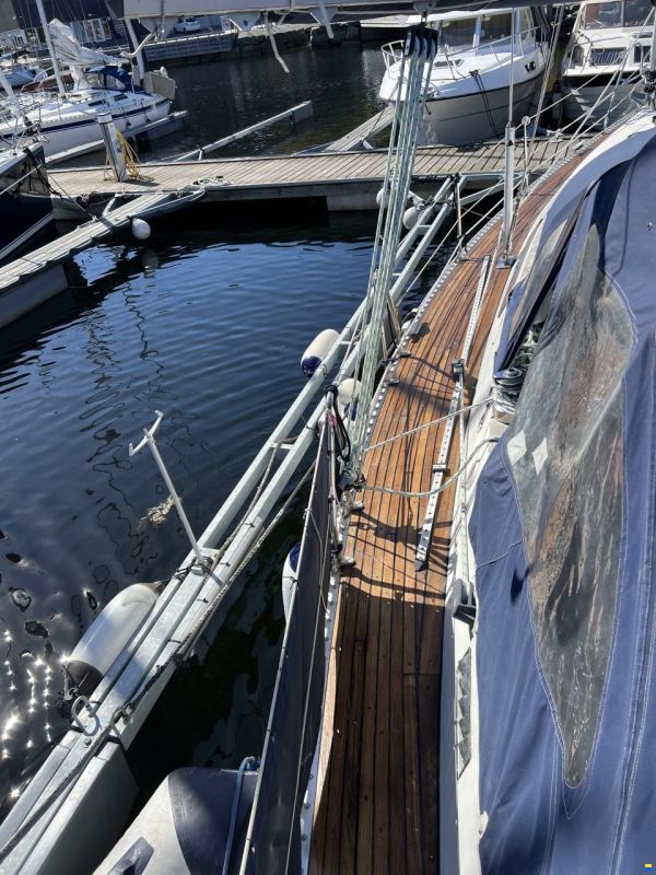 Porali Marin Bostrøm 37