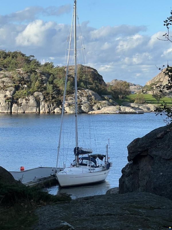Porali Marin Bostr&oslash;m 37