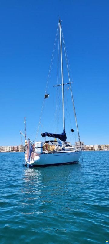 Standfast 33